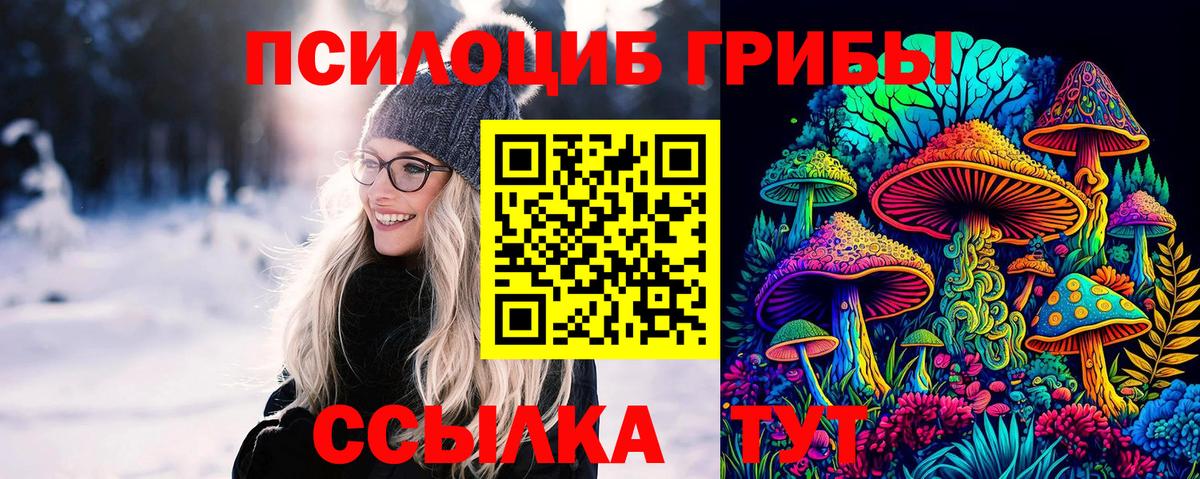 Псилоцибиновые грибы прущие грибы Светлоград