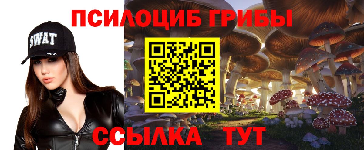 Светлоград  Псилоцибиновые грибы Cubensis  Вход с VPN 